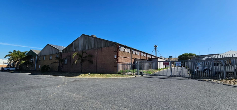 To Let commercial Property for Rent in Okavango Park Western Cape
